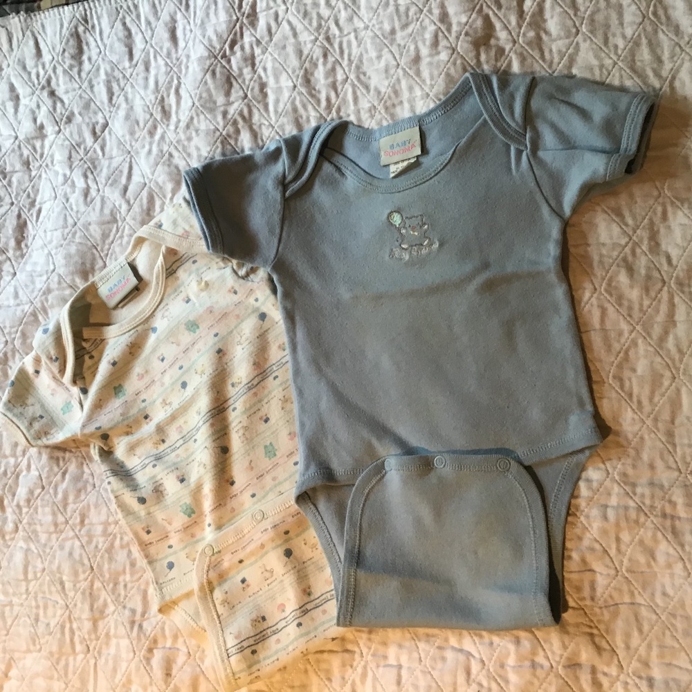 Onesies- set of 2- large ( up to 9 mon)